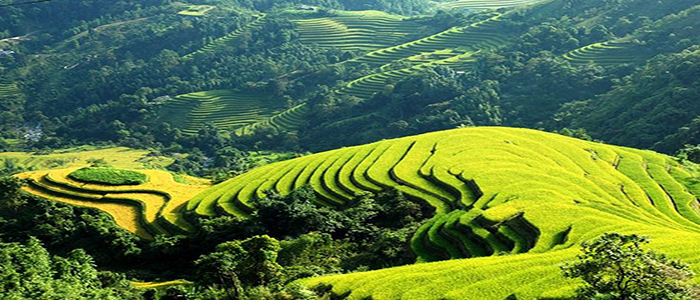 du lich,Sapa